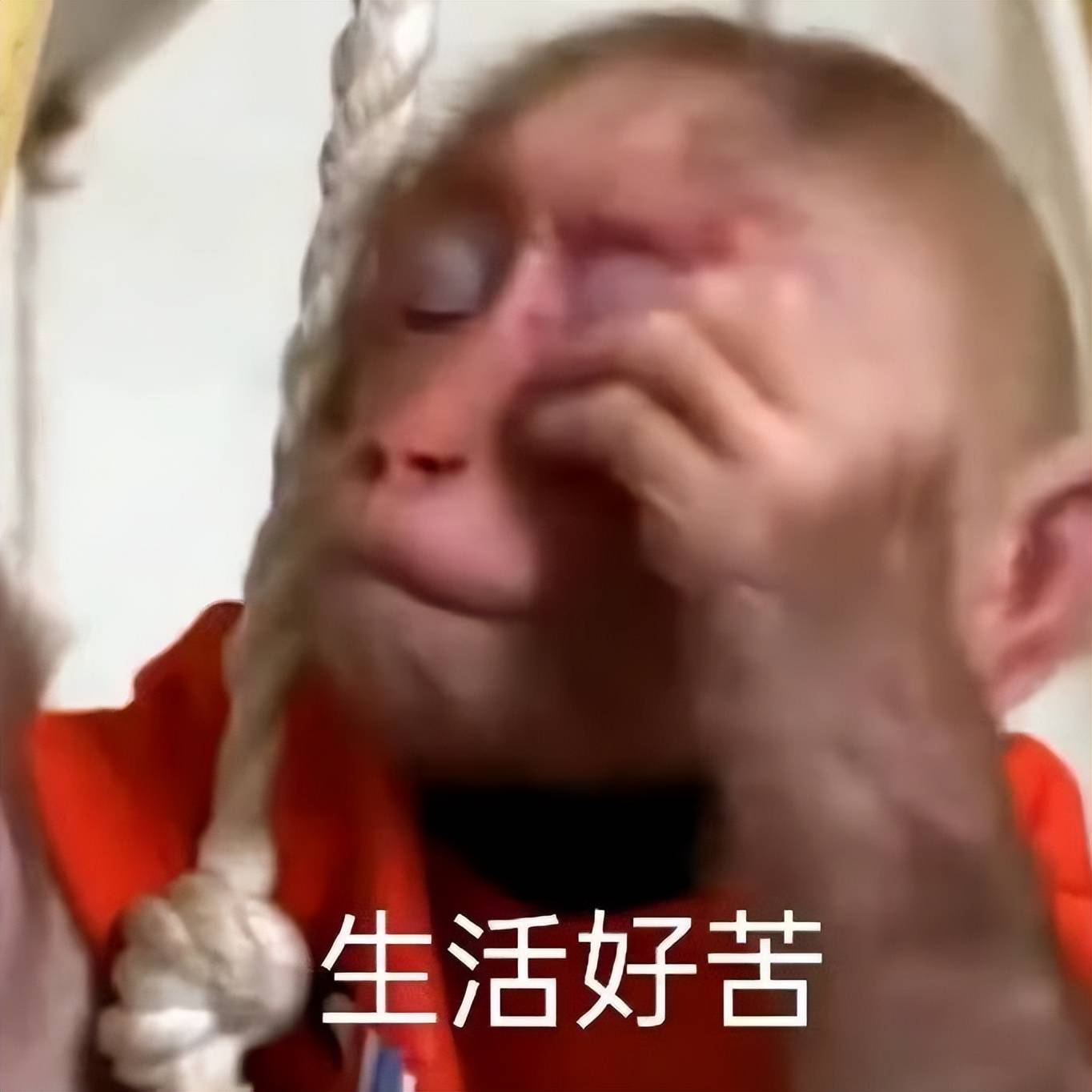 pg模拟器-2025黑马游戏口碑翻车，MOD暗藏崩溃代码，官方被玩家骂“跪舔”