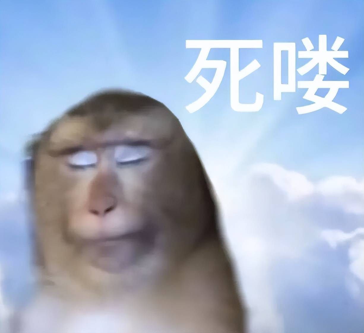 pg模拟器-40万预约玩家傻眼了！停运的实在太快，玩家游戏还没下完就凉凉！